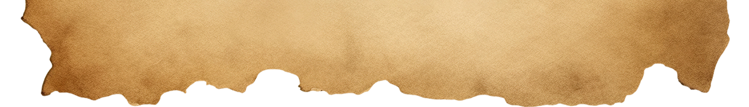 a close up of a sunset